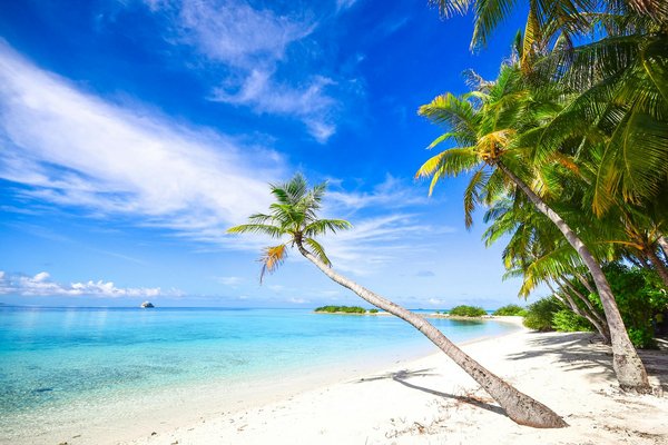 Welche Campingausrüstung ist für Anfänger unerlässlich?